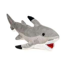 Shark